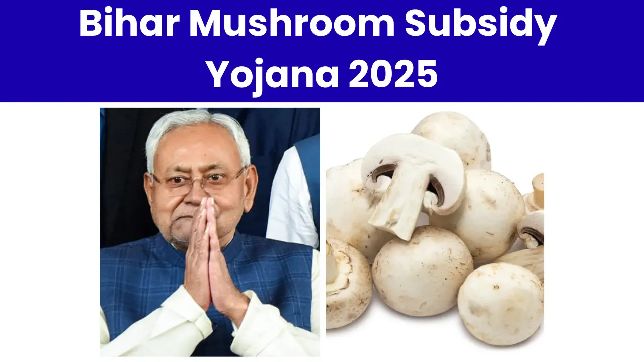 Bihar Mushroom Subsidy Yojana 2025